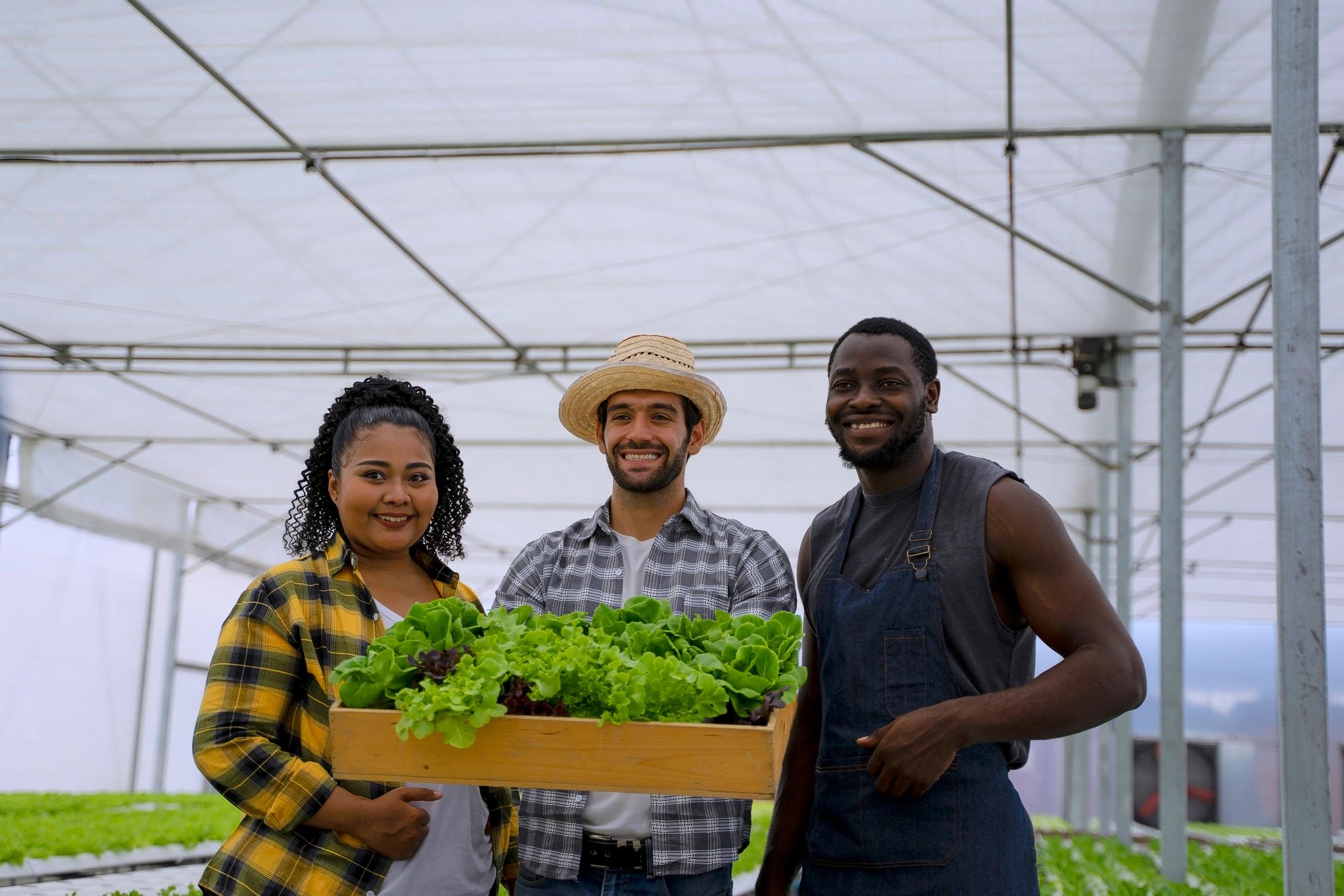 Entrepreneur work in hydroponic farm. Vegetables forming in greenhouse.