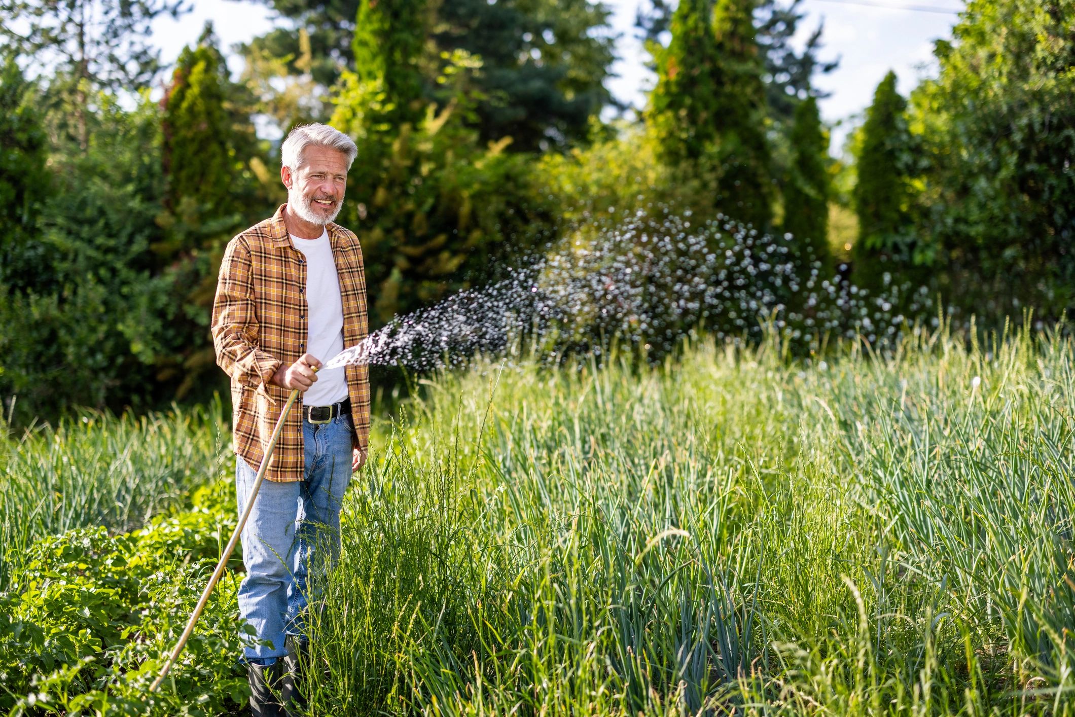 Mature adult man watering garden plants with hose